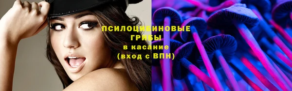 прущие крисы Абаза
