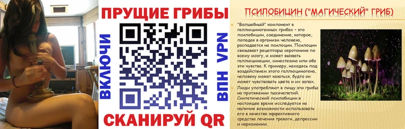 где найти   площадка наркотические препараты  Галлюциногенные грибы мухоморы  Магнитогорск  blacksprut tor 